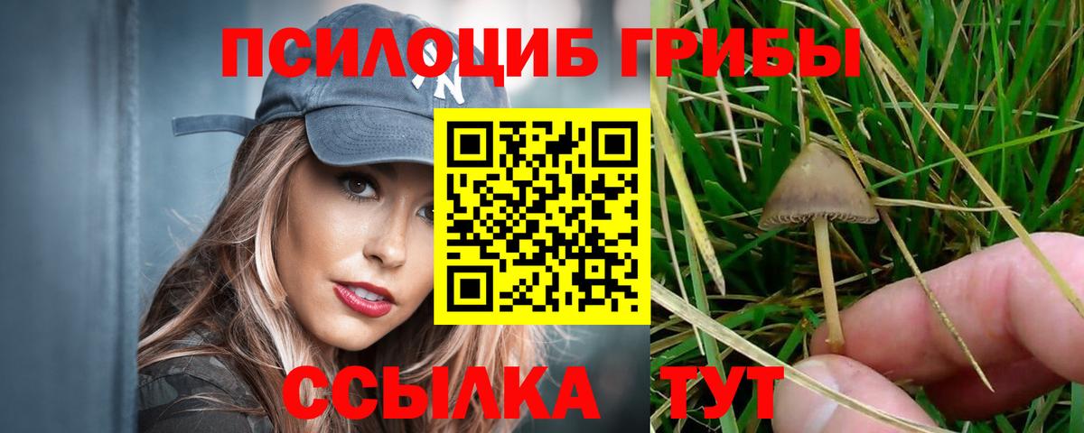 Нижнеудинск  Псилоцибиновые грибы Cubensis  Вход с VPN 